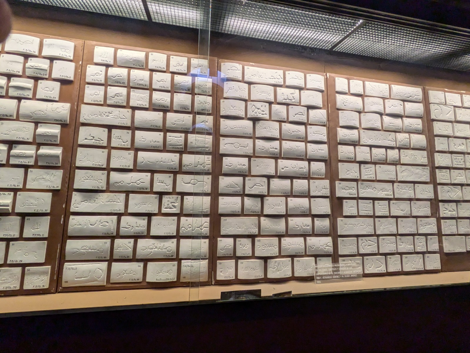 PXL 20241025 103412850