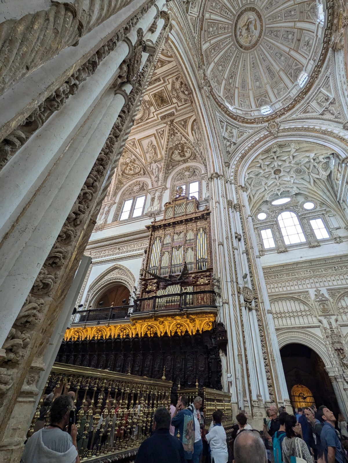 PXL 20241025 104222993