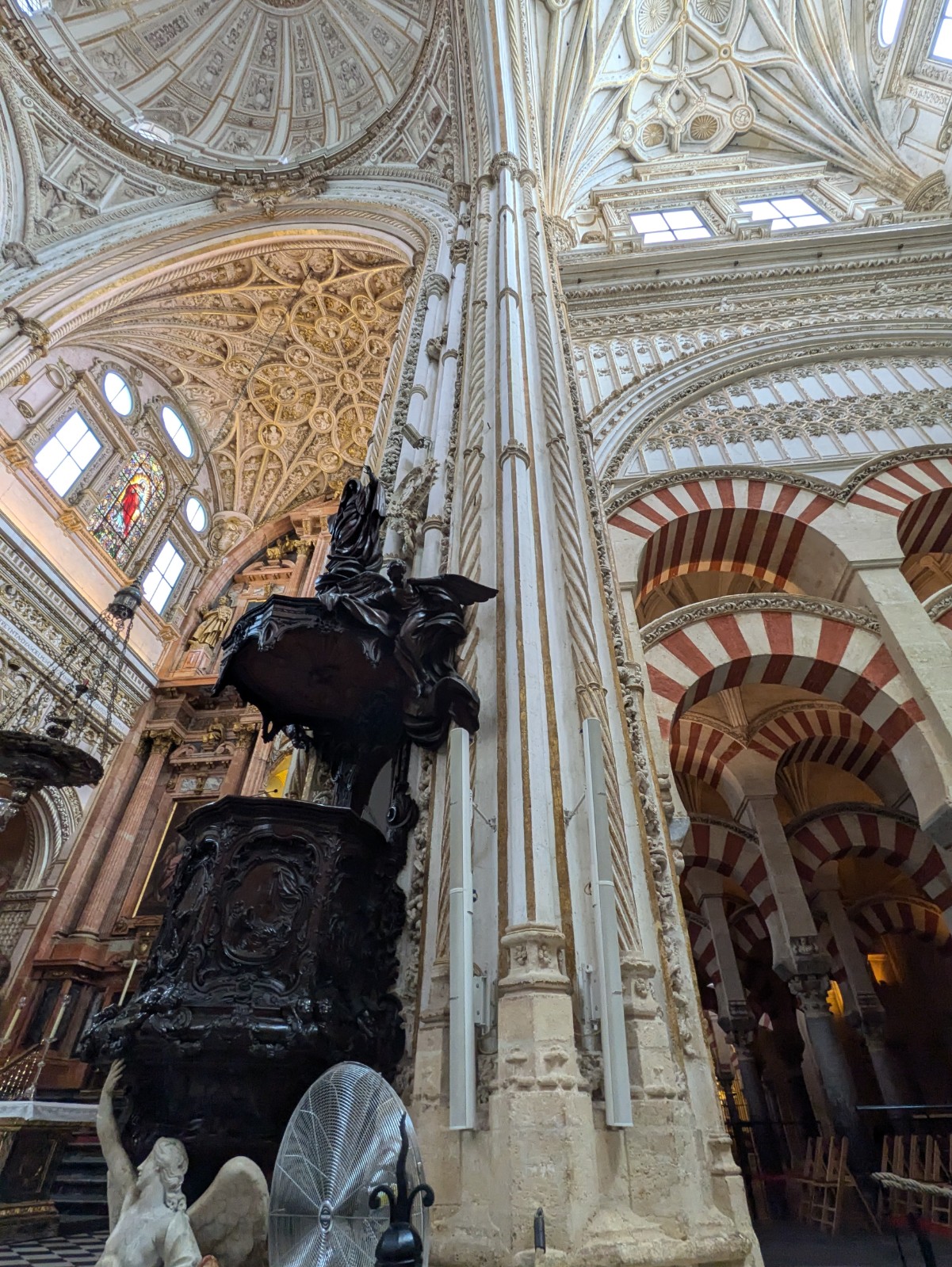 PXL 20241025 104337706