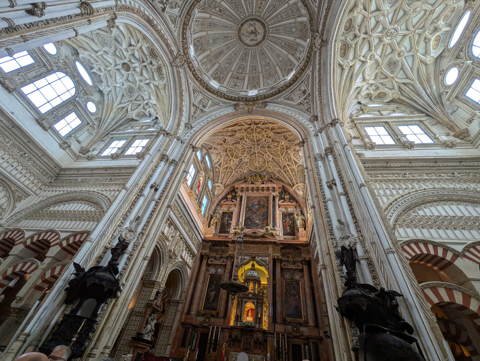 PXL 20241025 104739088