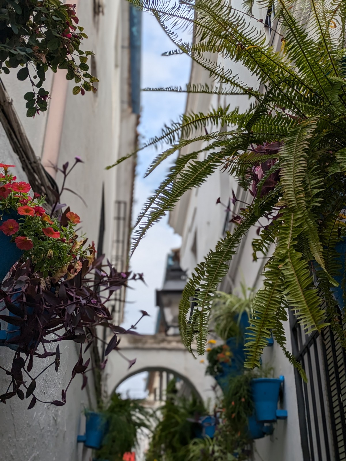 PXL 20241025 105733562.PORTRAIT