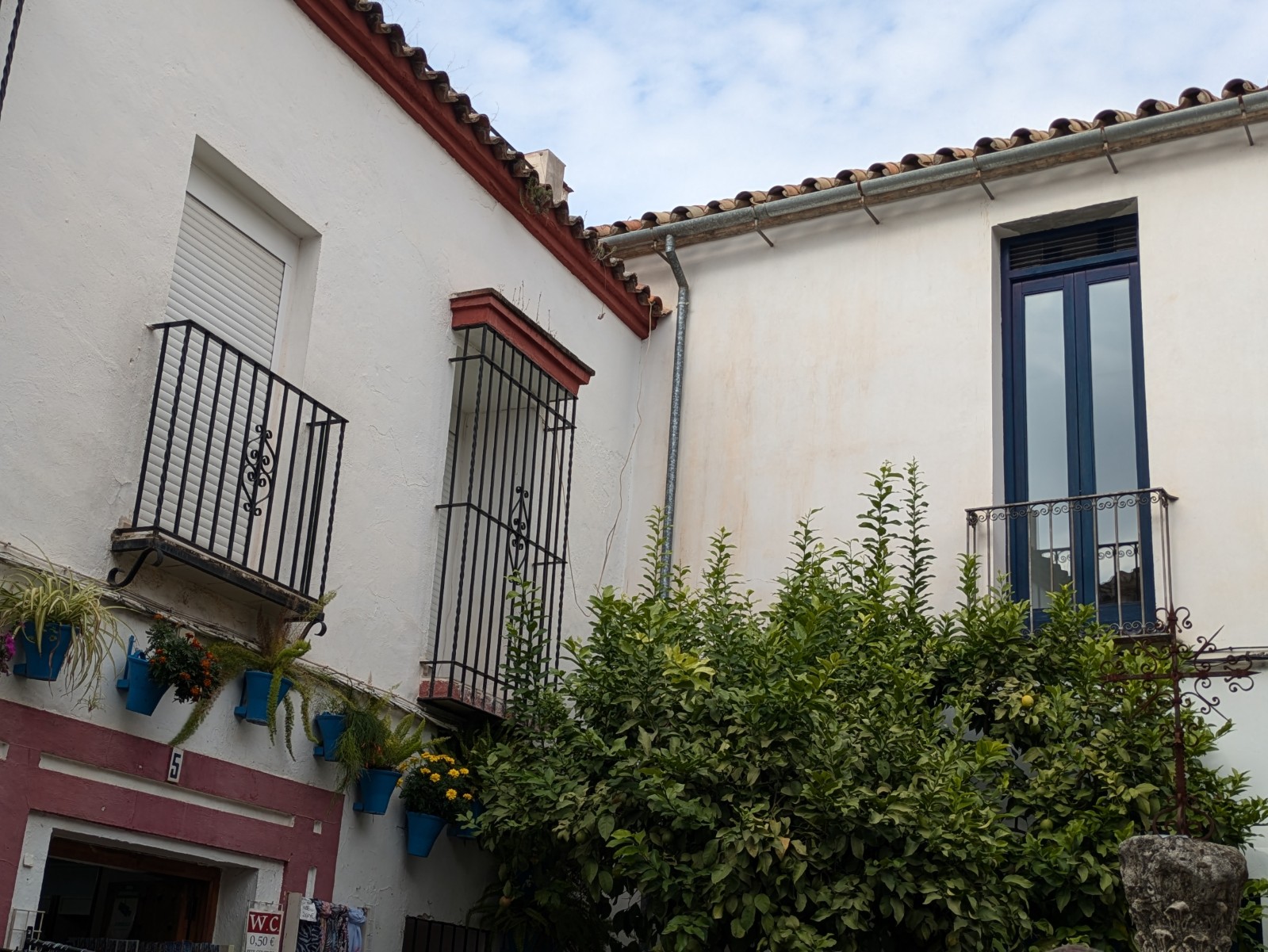 PXL 20241025 105843344.PORTRAIT.ORIGINAL