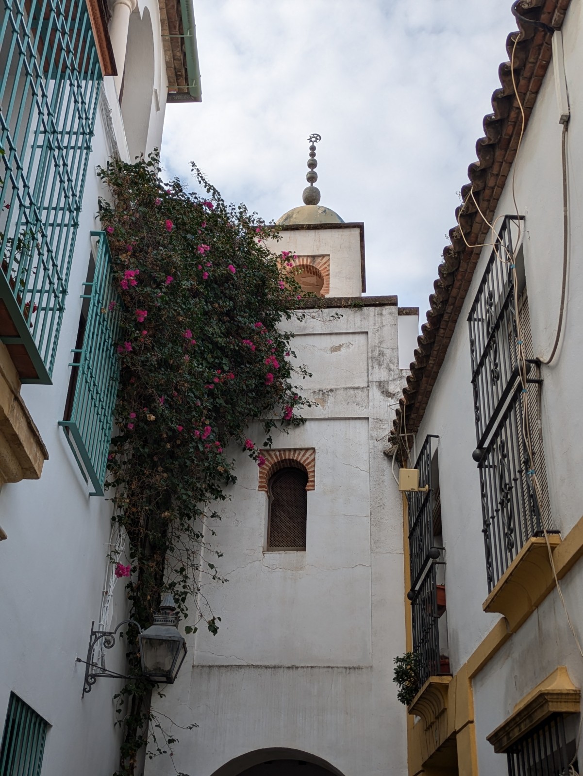 PXL 20241025 110503926.PORTRAIT.ORIGINAL