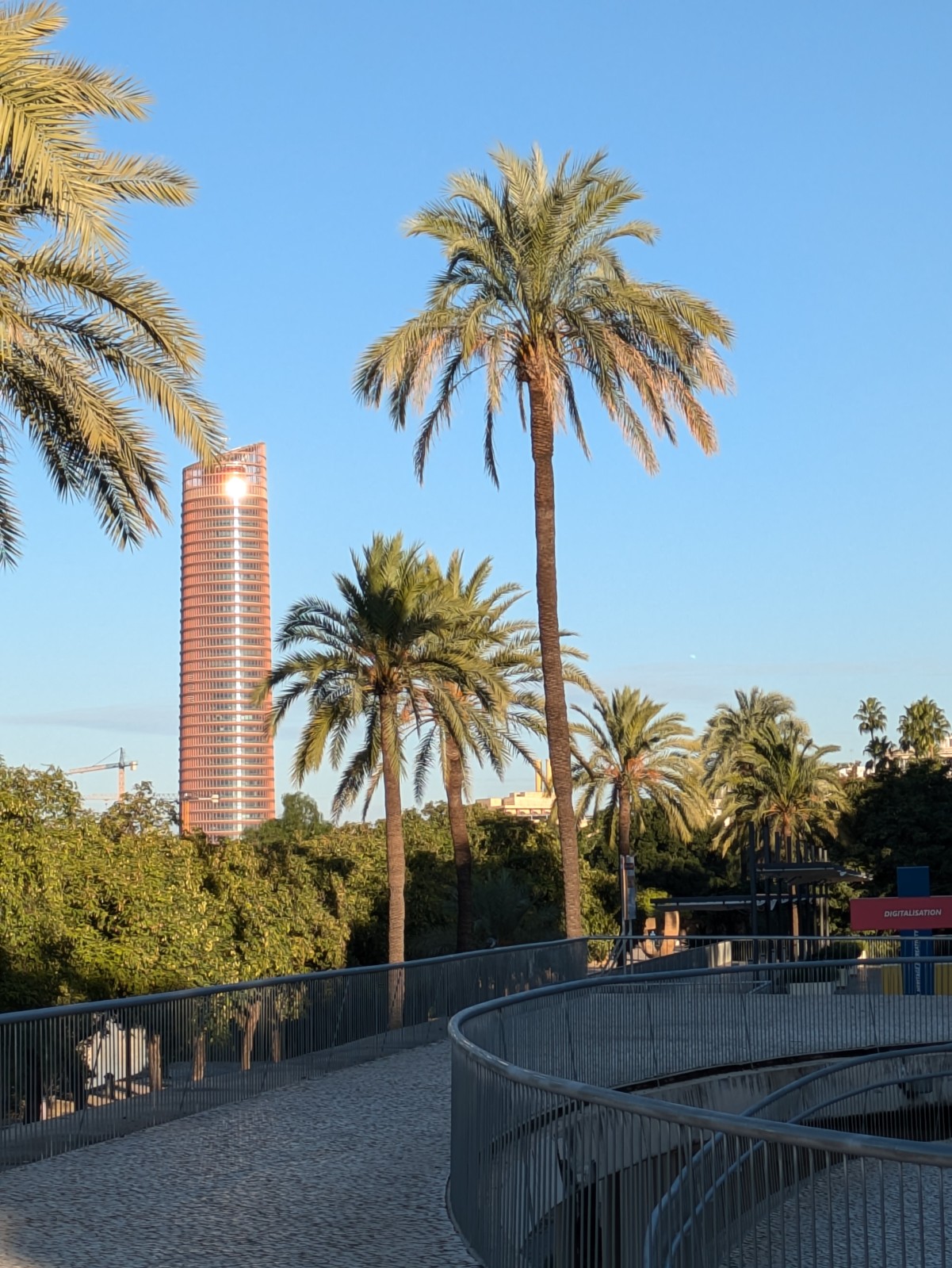 PXL 20241026 073512228