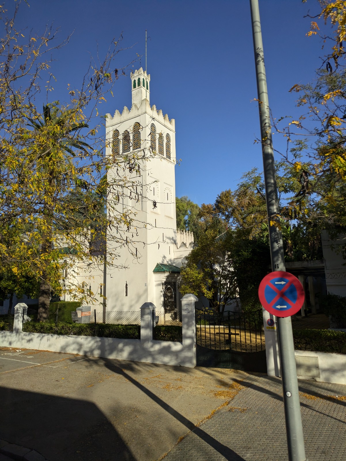 PXL 20241026 081303316