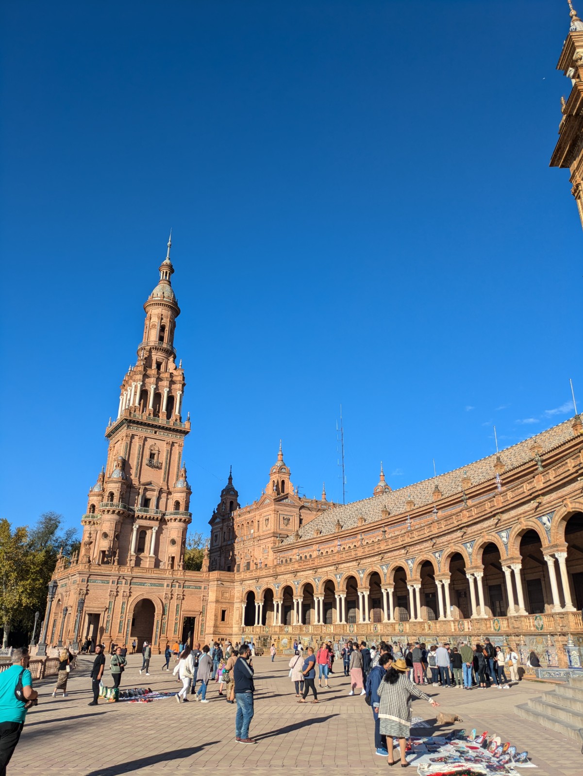 PXL 20241026 082835294