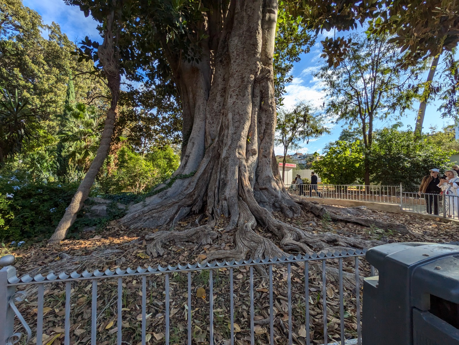 PXL 20241026 090853406