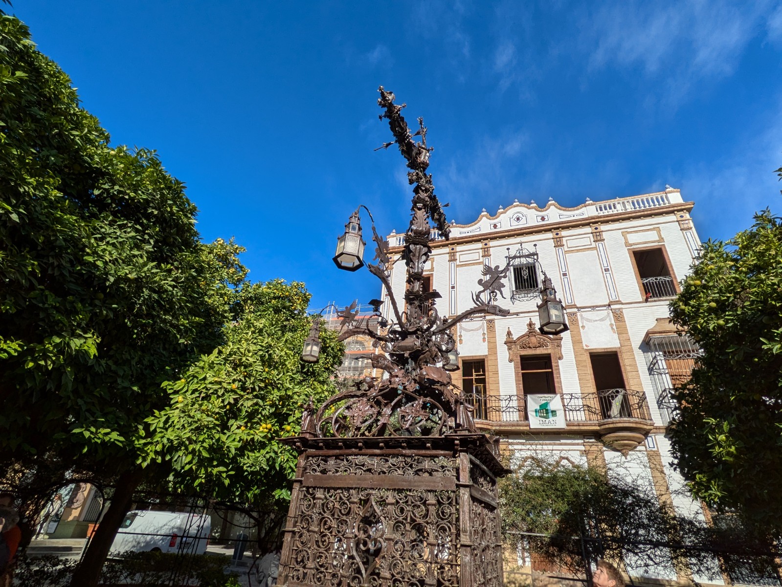 PXL 20241026 091409397