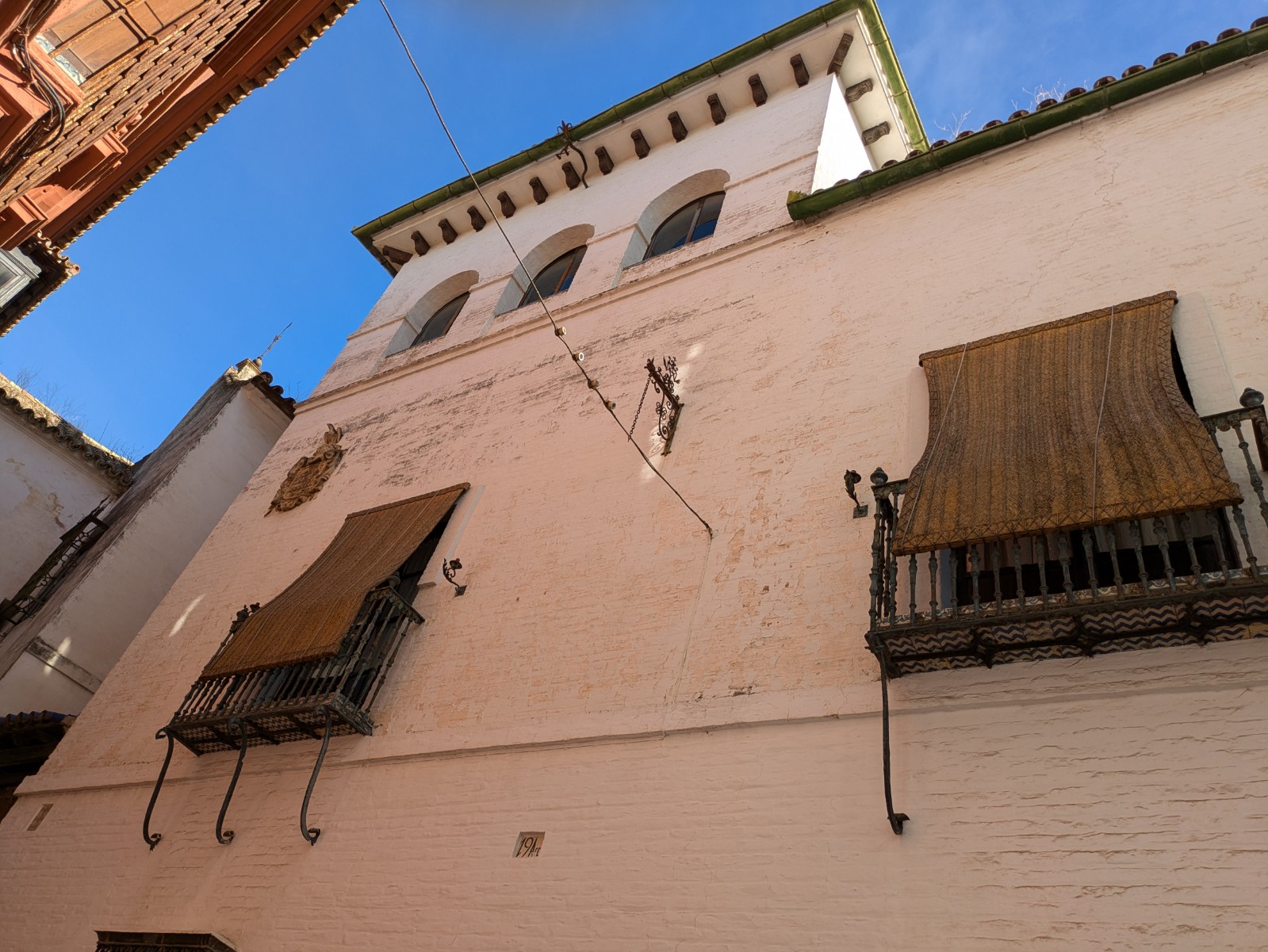 PXL 20241026 091828432