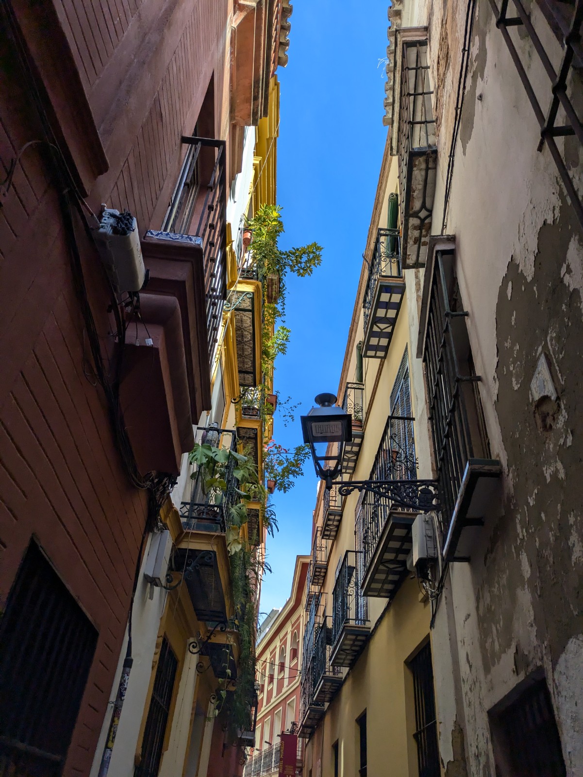 PXL 20241026 091905879