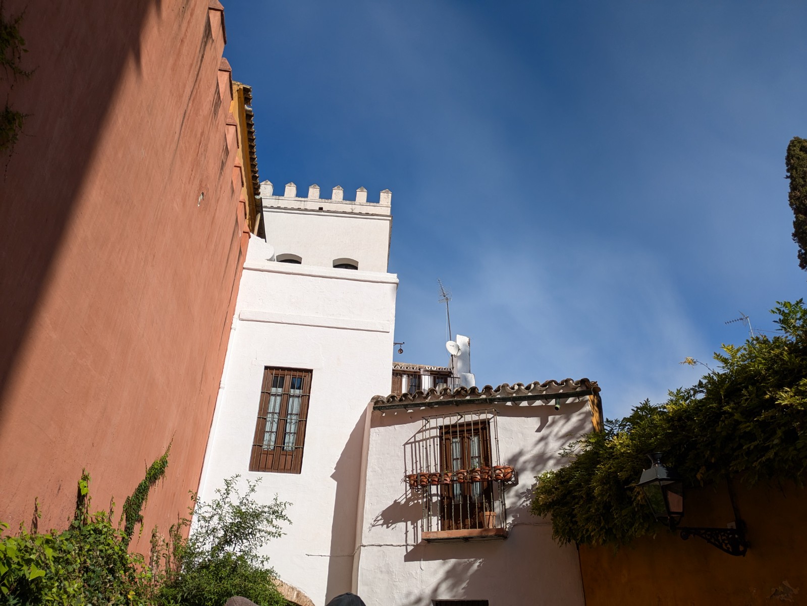 PXL 20241026 093416489