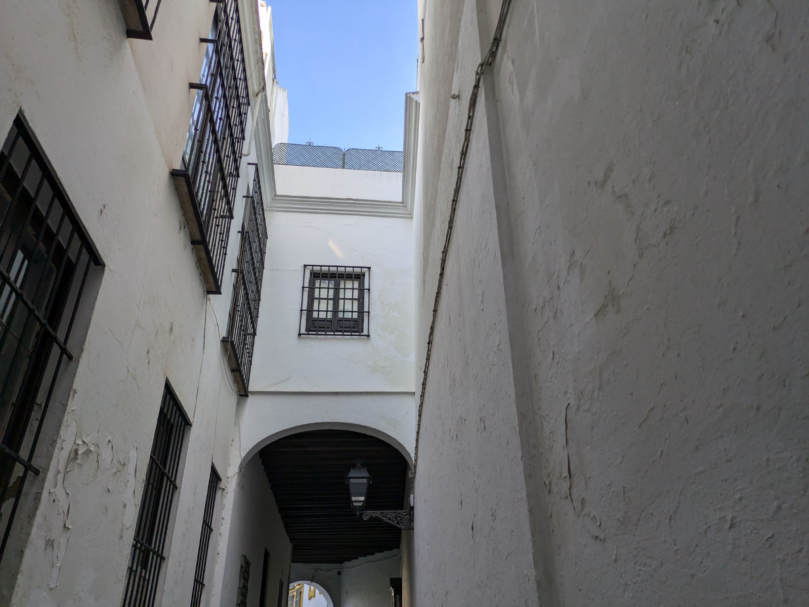 PXL 20241026 093601581