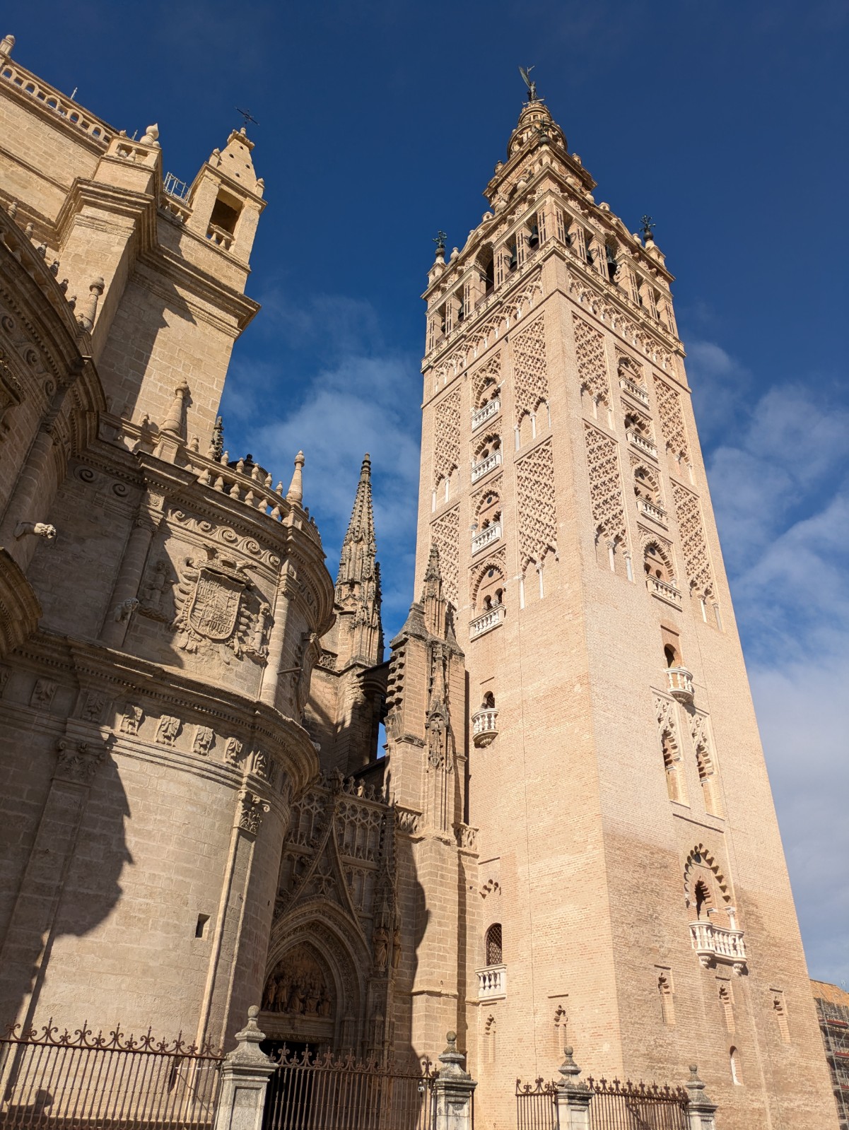 PXL 20241026 094313921