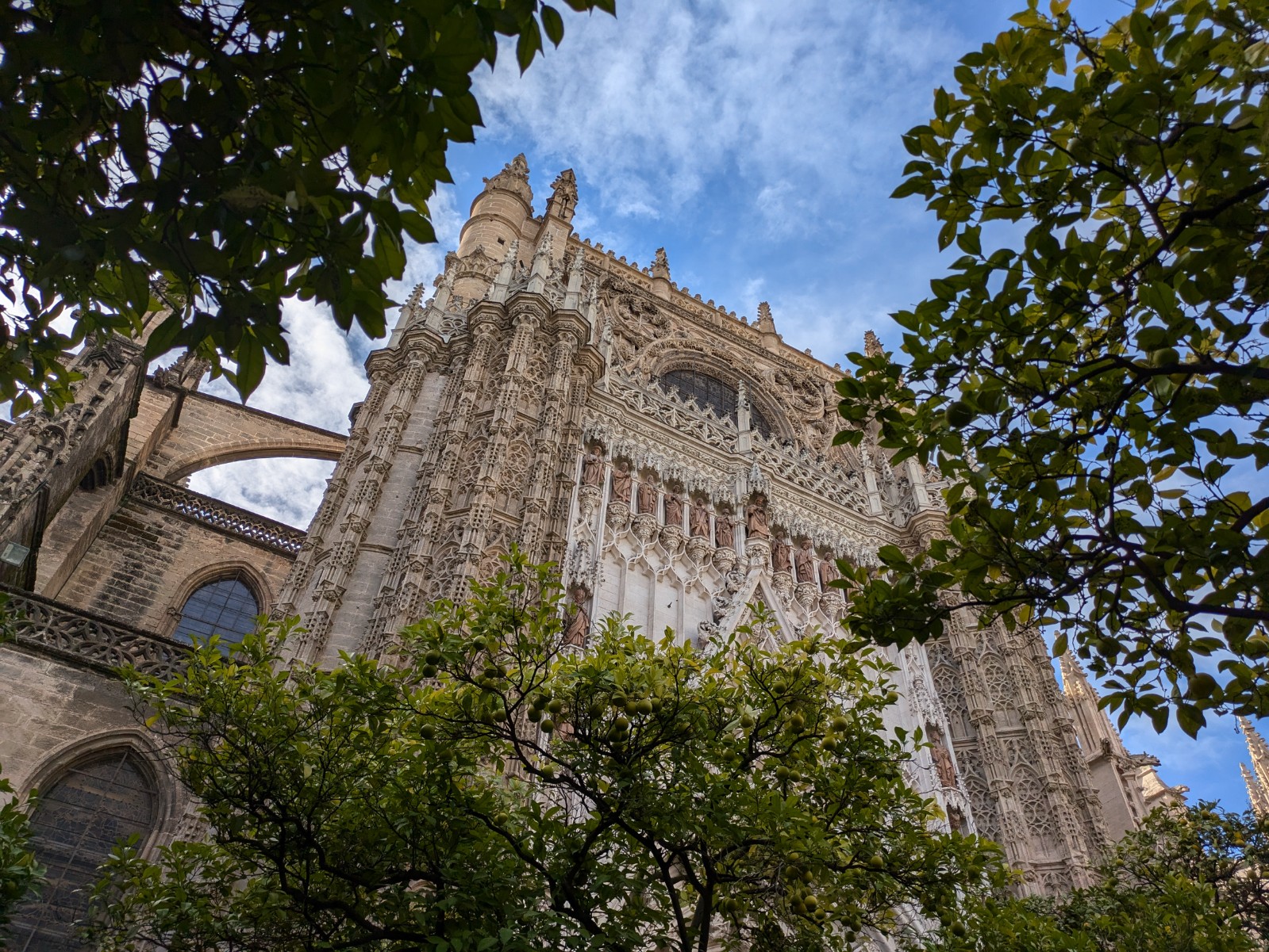 PXL 20241026 095456868