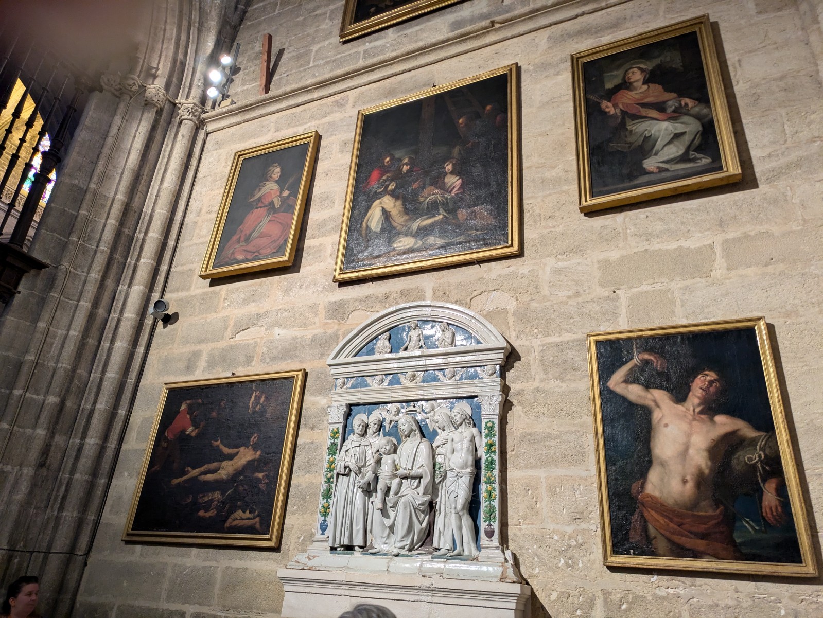 PXL 20241026 100929456