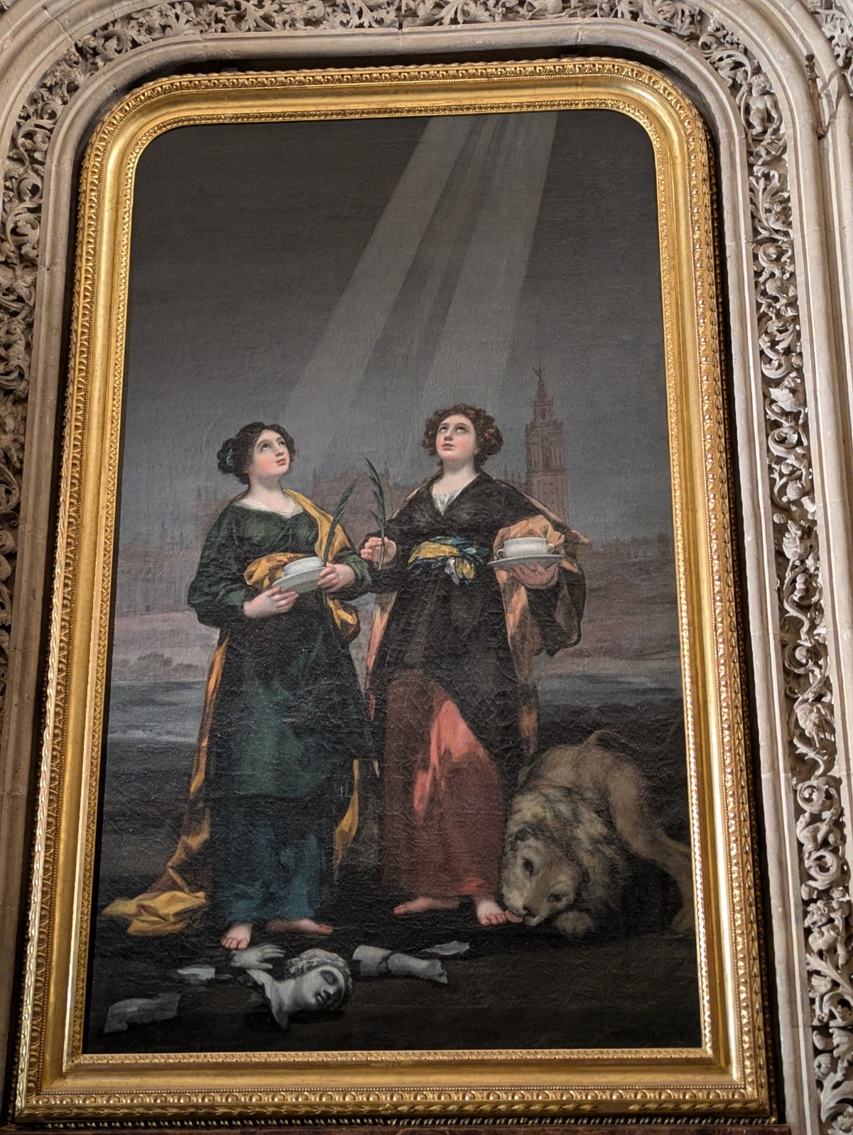 PXL 20241026 104043255