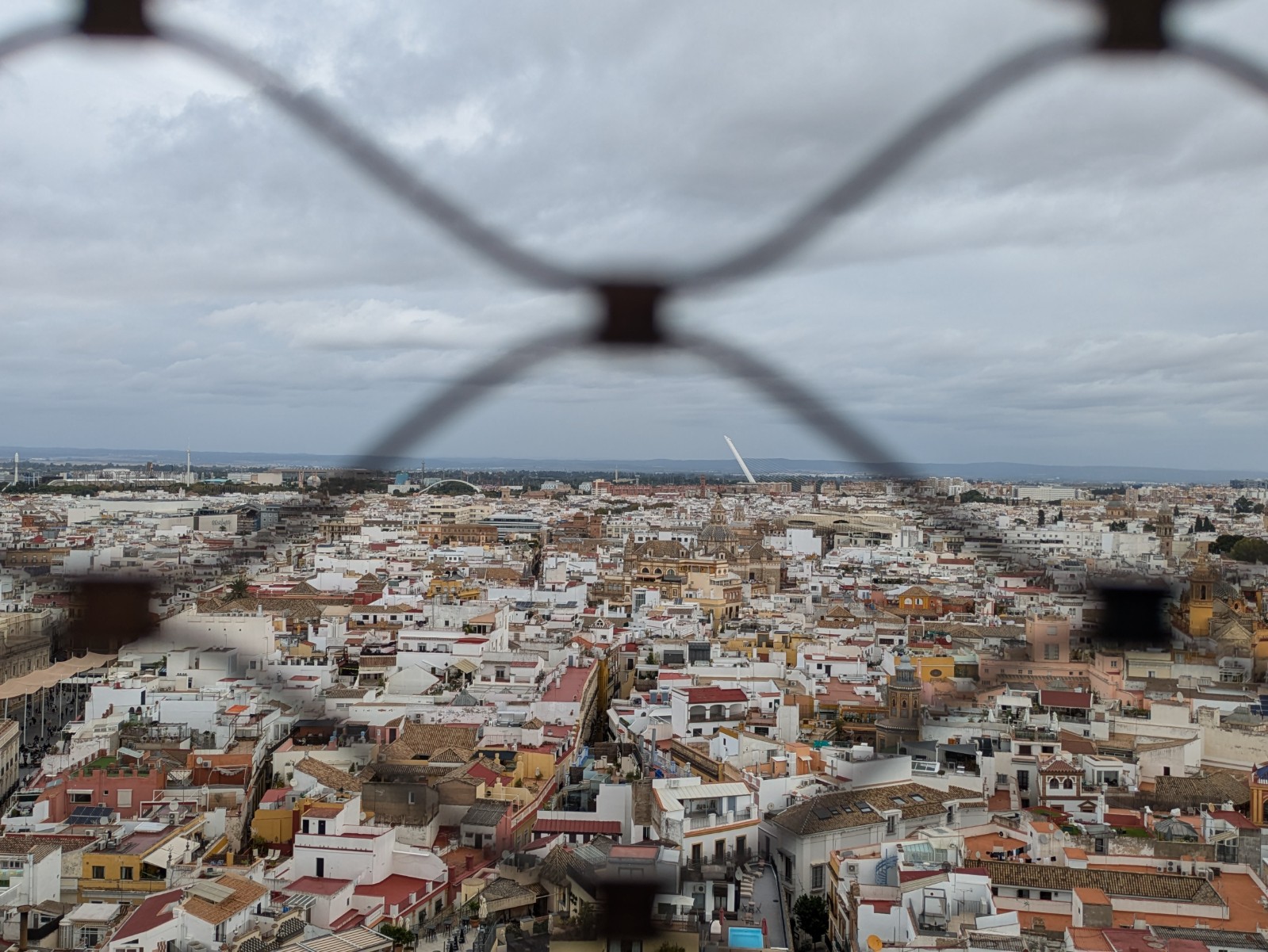 PXL 20241026 111237548