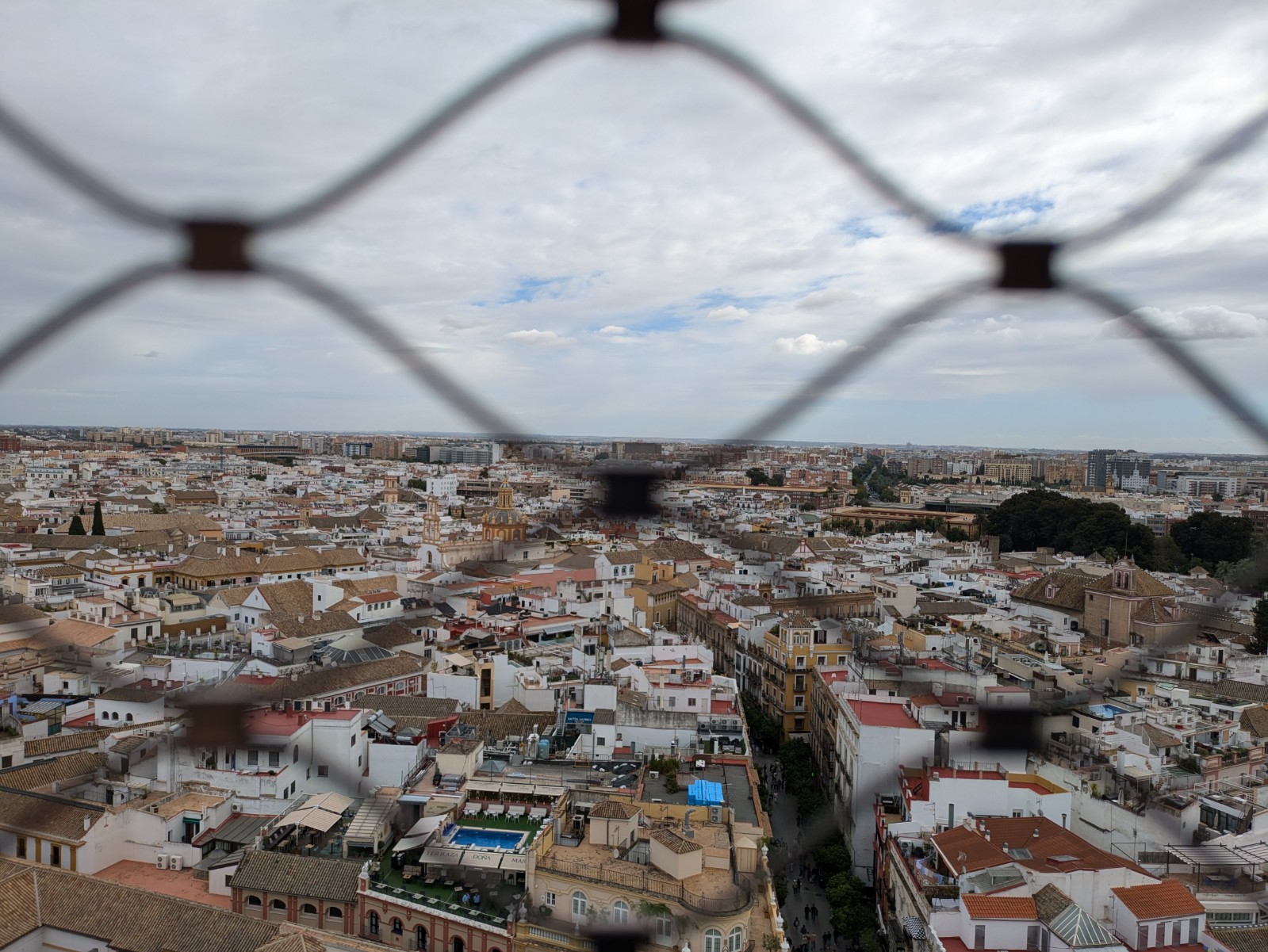 PXL 20241026 111345688