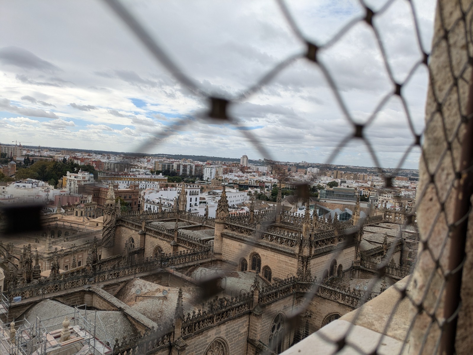 PXL 20241026 111610549