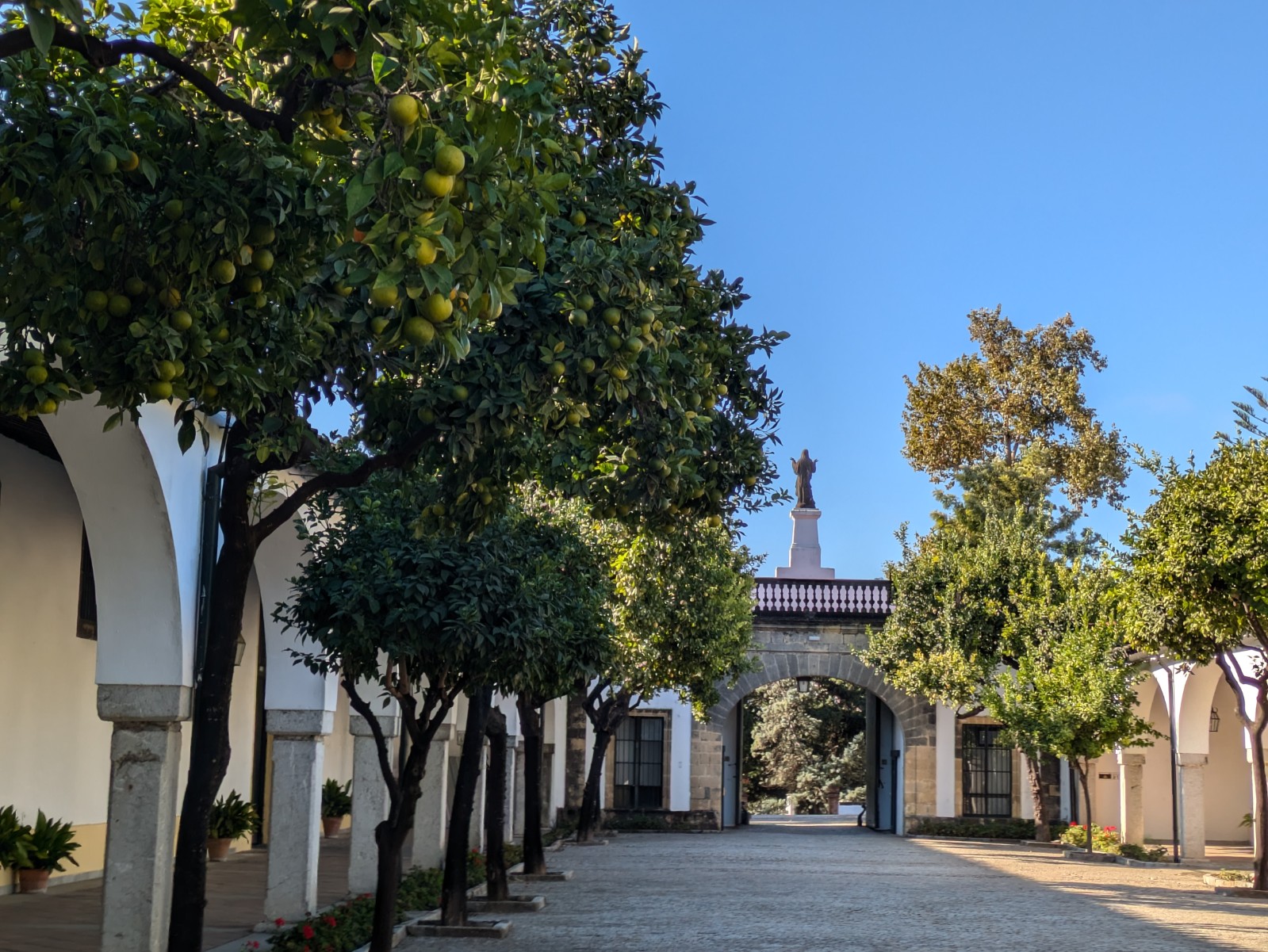 PXL 20241027 091736044