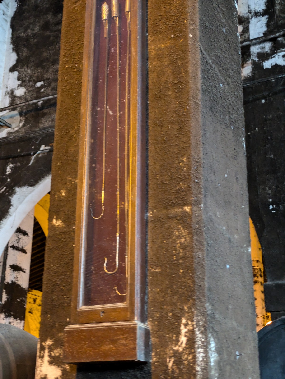 PXL 20241027 094014958