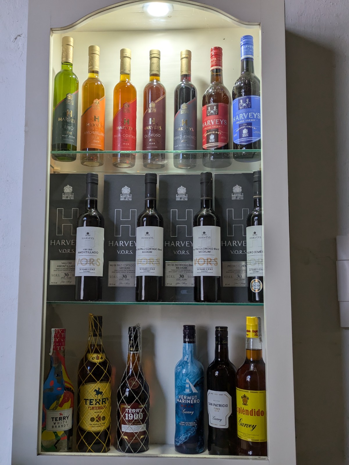 PXL 20241027 094528261