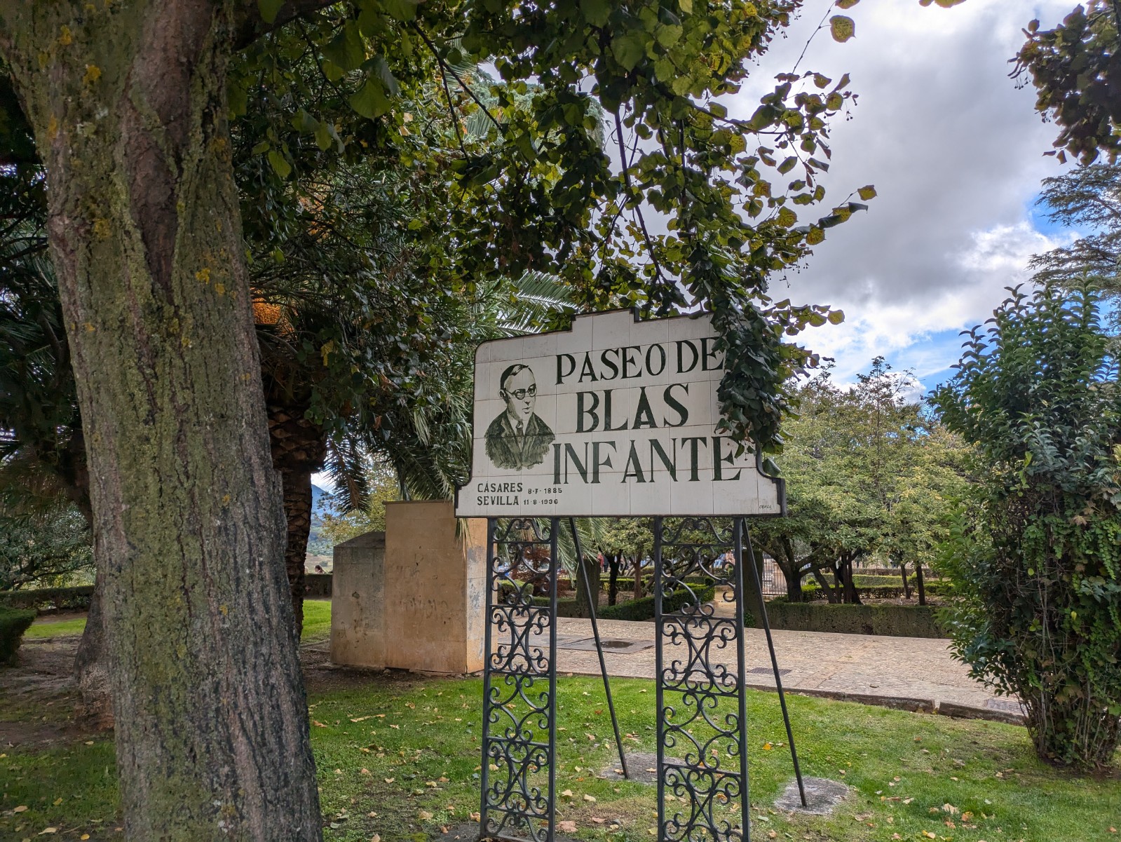 PXL 20241027 124502286