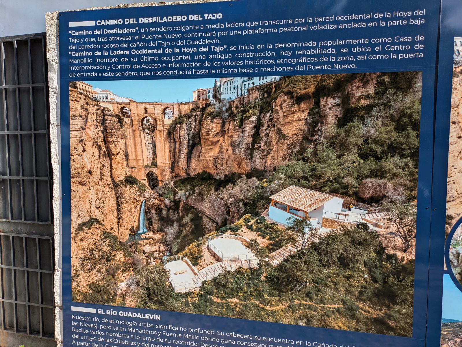 PXL 20241027 143253053