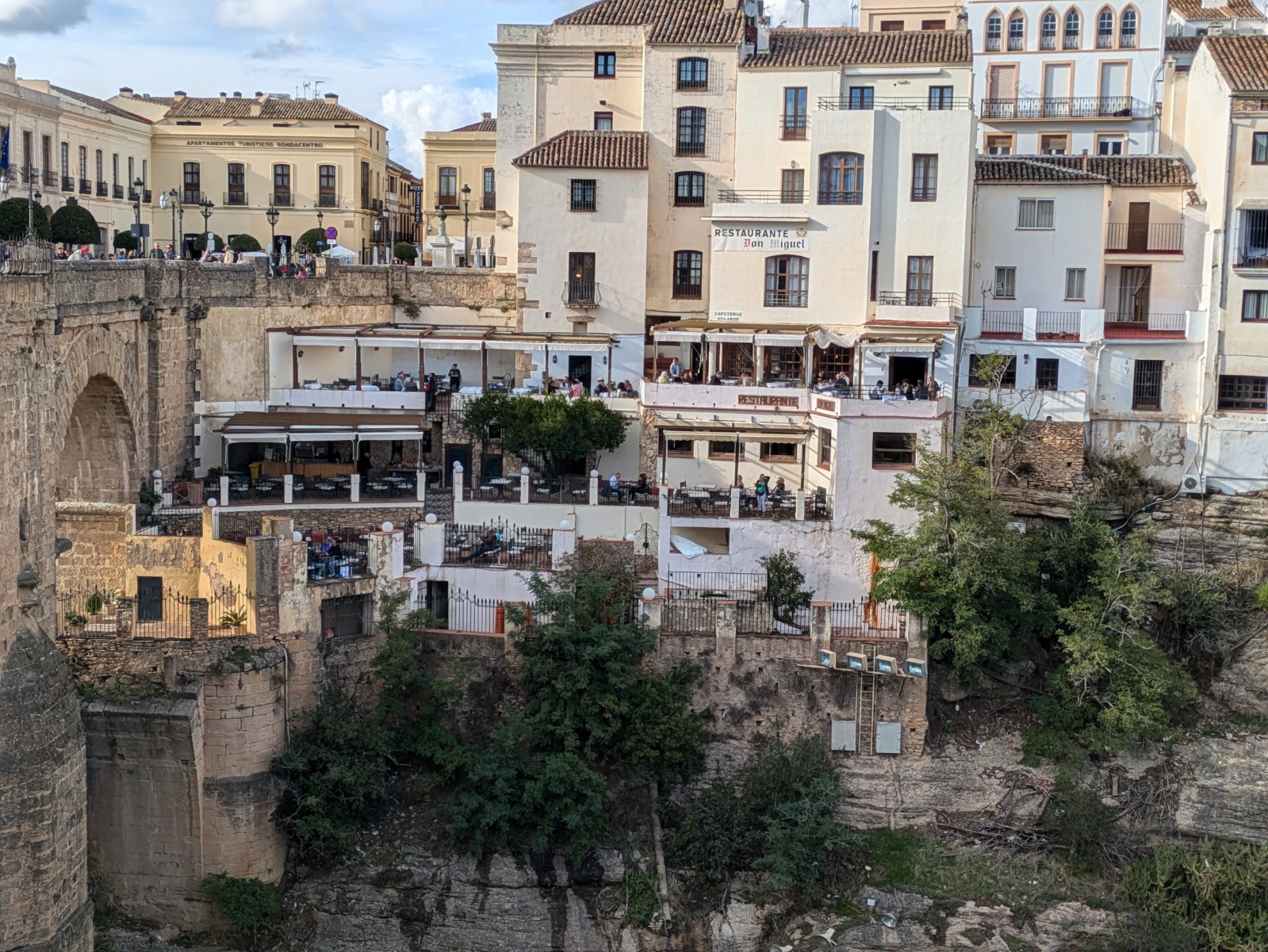 PXL 20241027 151414066