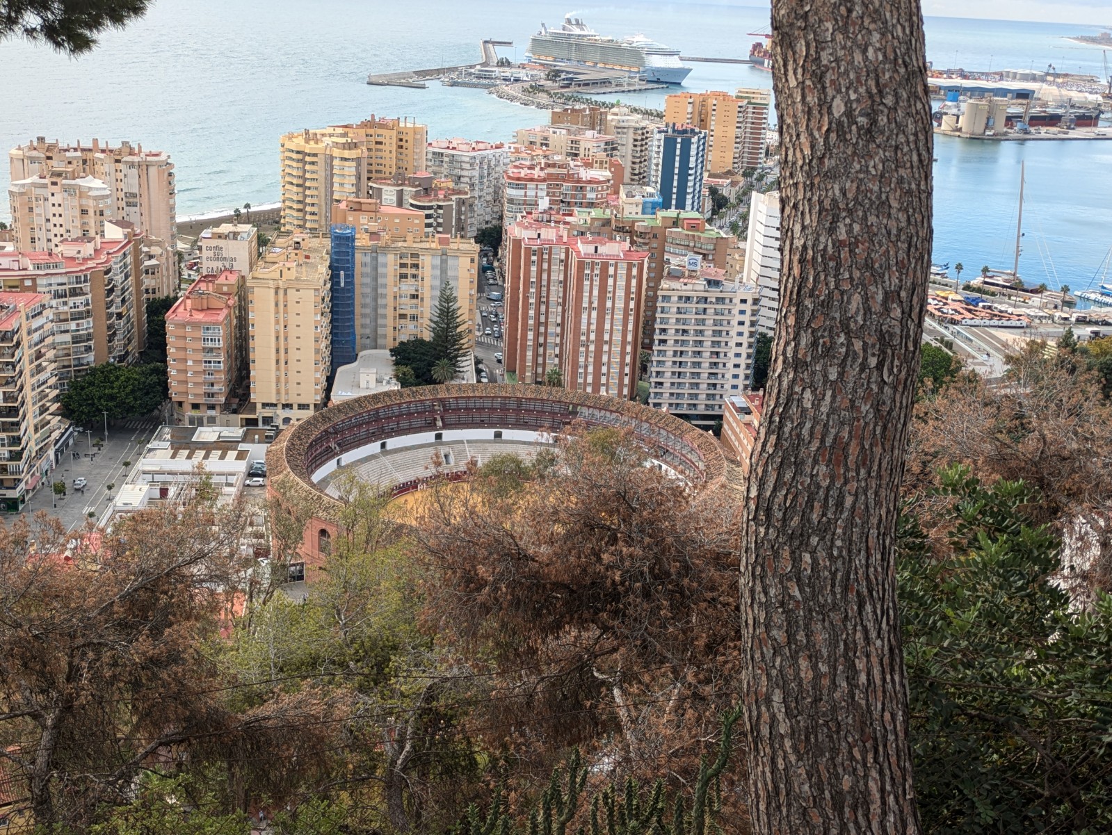 PXL 20241028 100606649