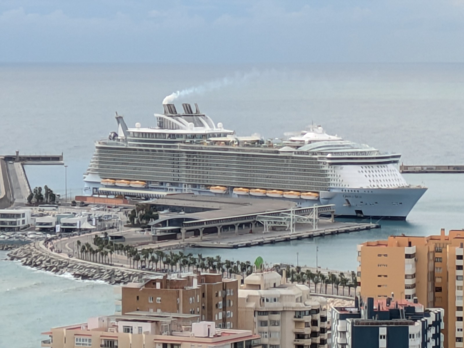 PXL 20241028 100805439