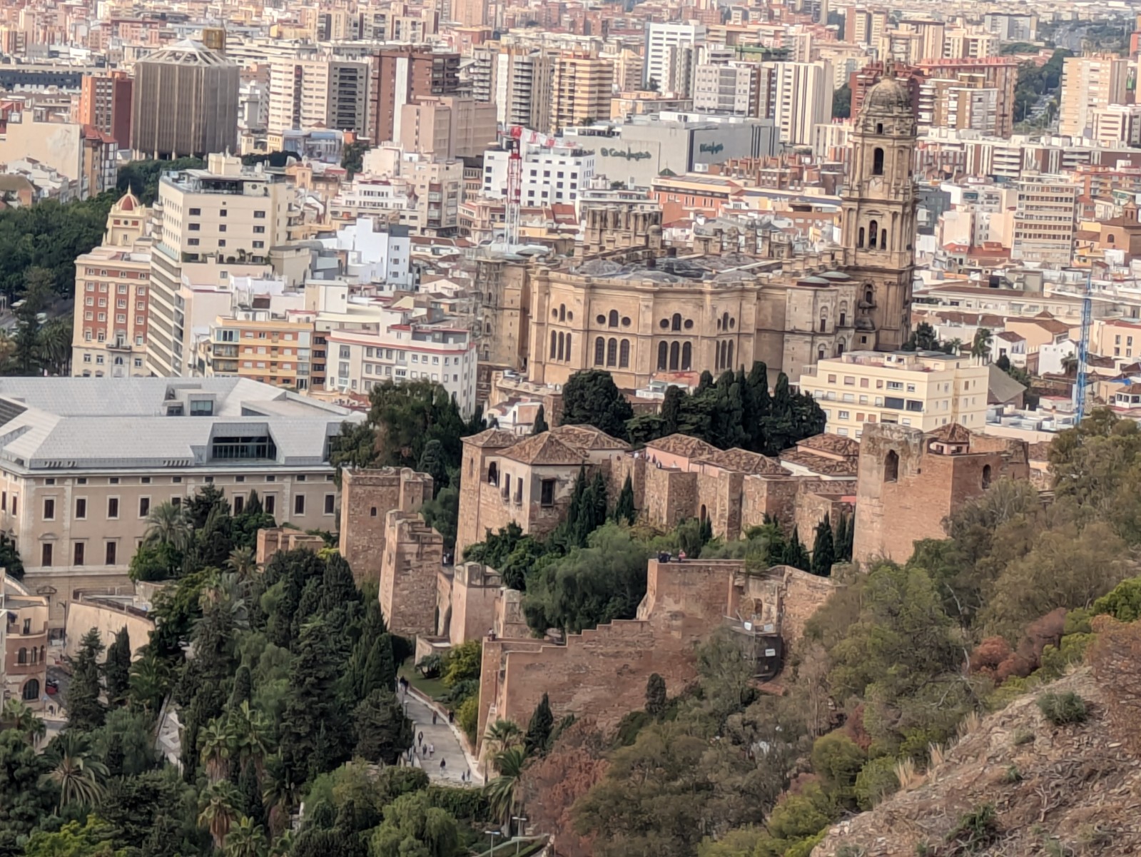 PXL 20241028 100924894