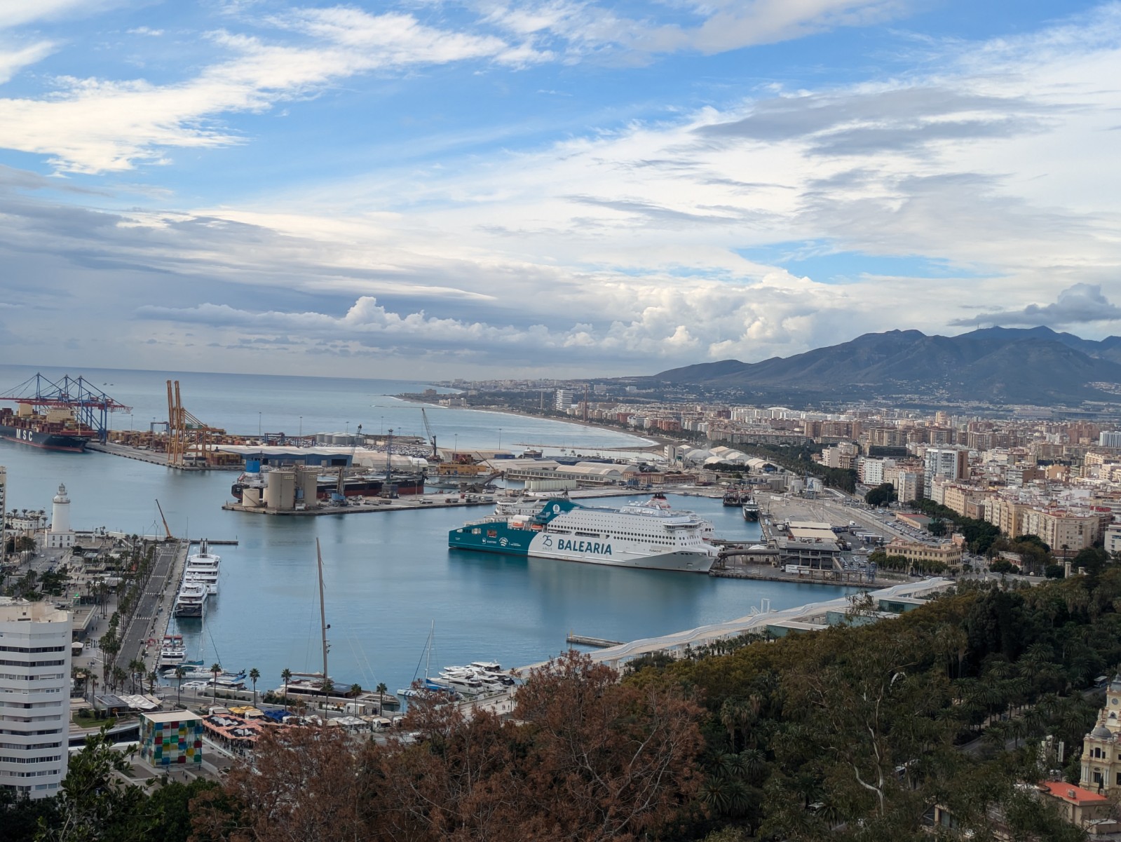 PXL 20241028 100932860