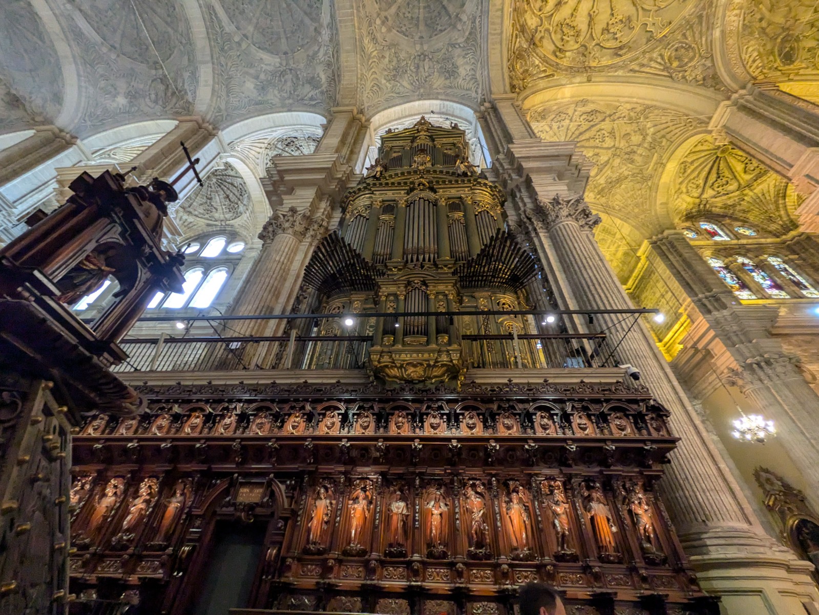 PXL 20241028 113304384