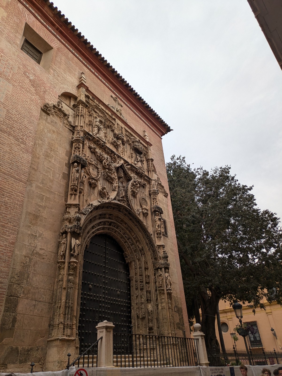 PXL 20241028 114403739