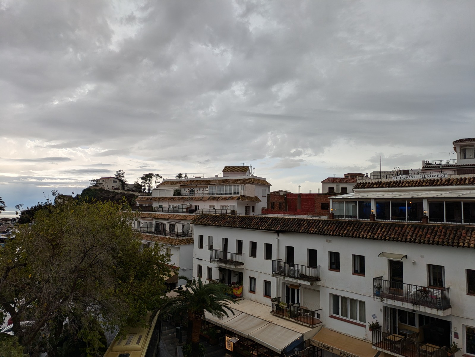 PXL 20241029 112848717