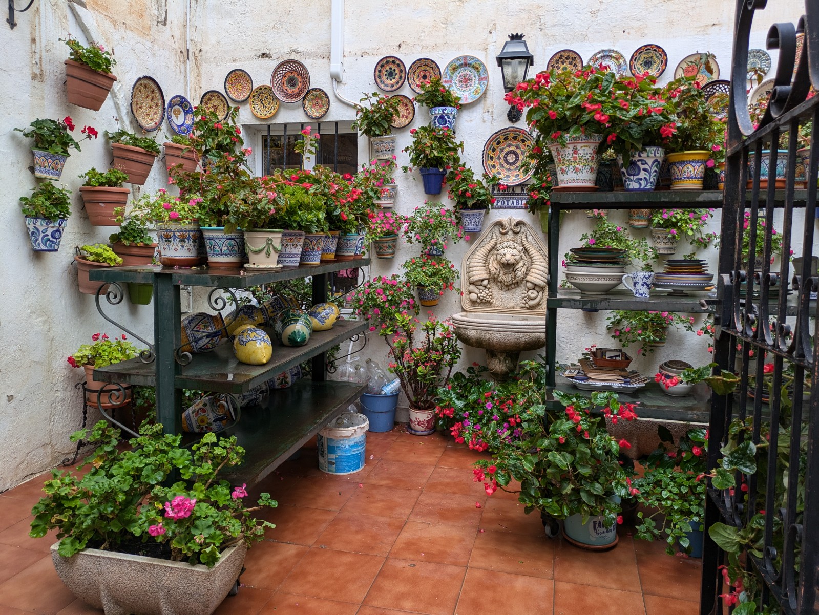 PXL 20241029 122500861