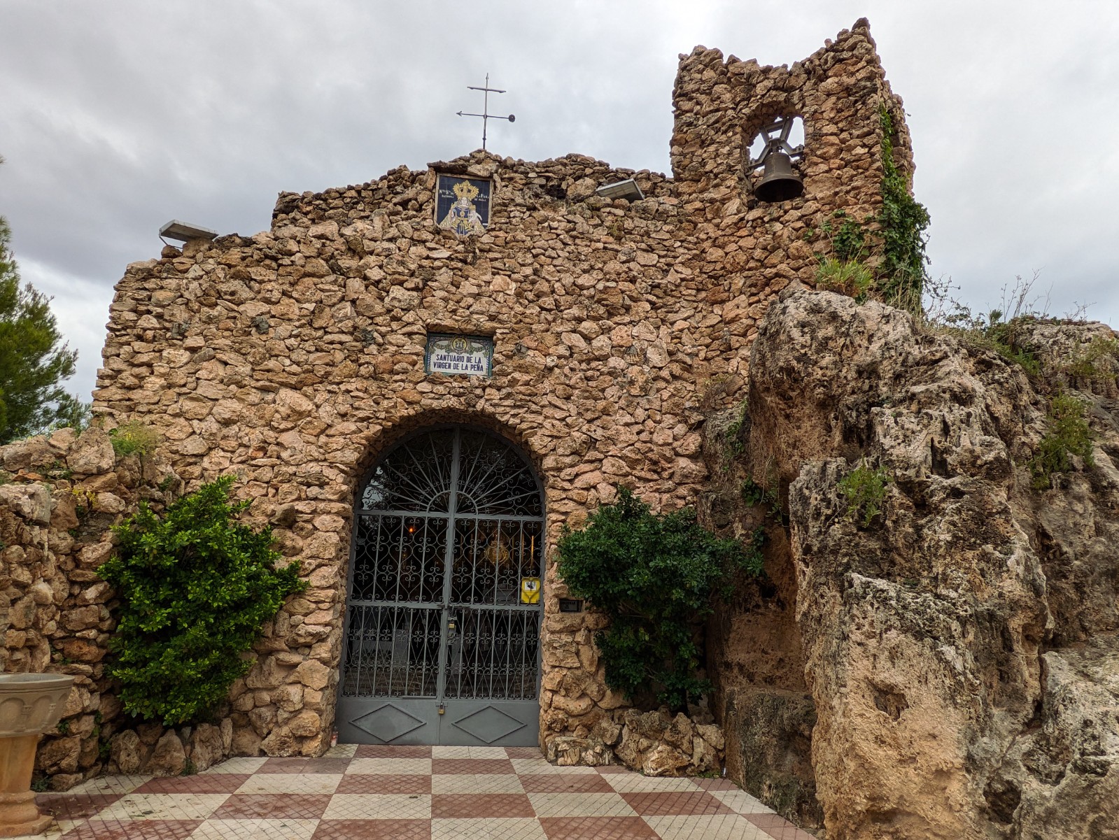 PXL 20241029 124317299