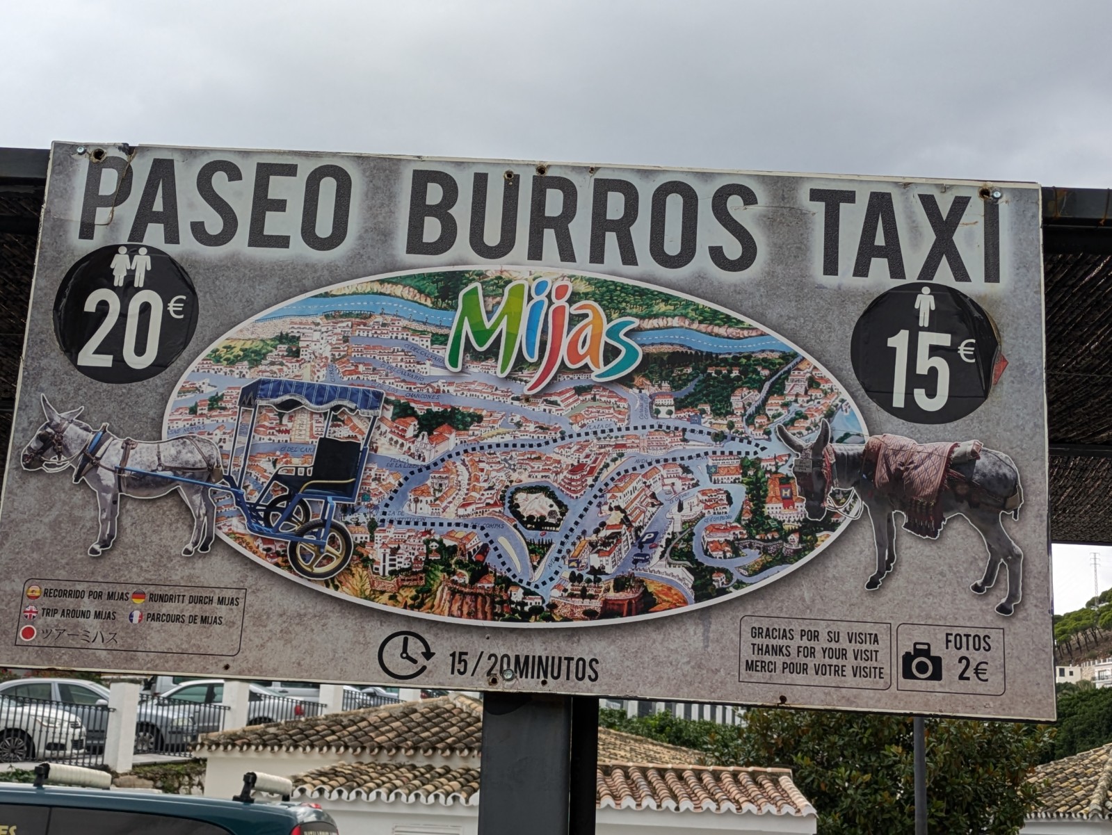 PXL 20241029 124928080