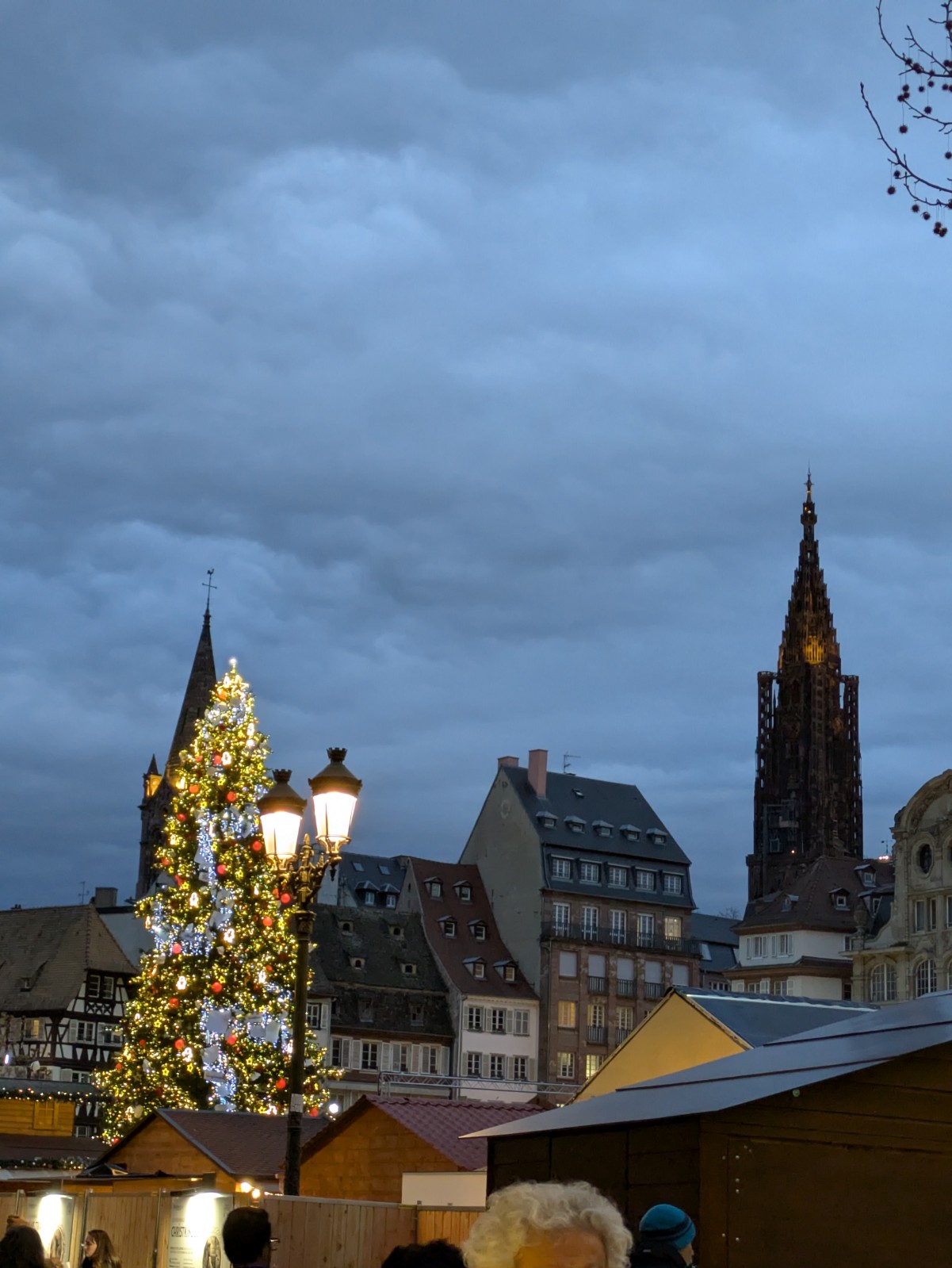 PXL 20241218 154319359