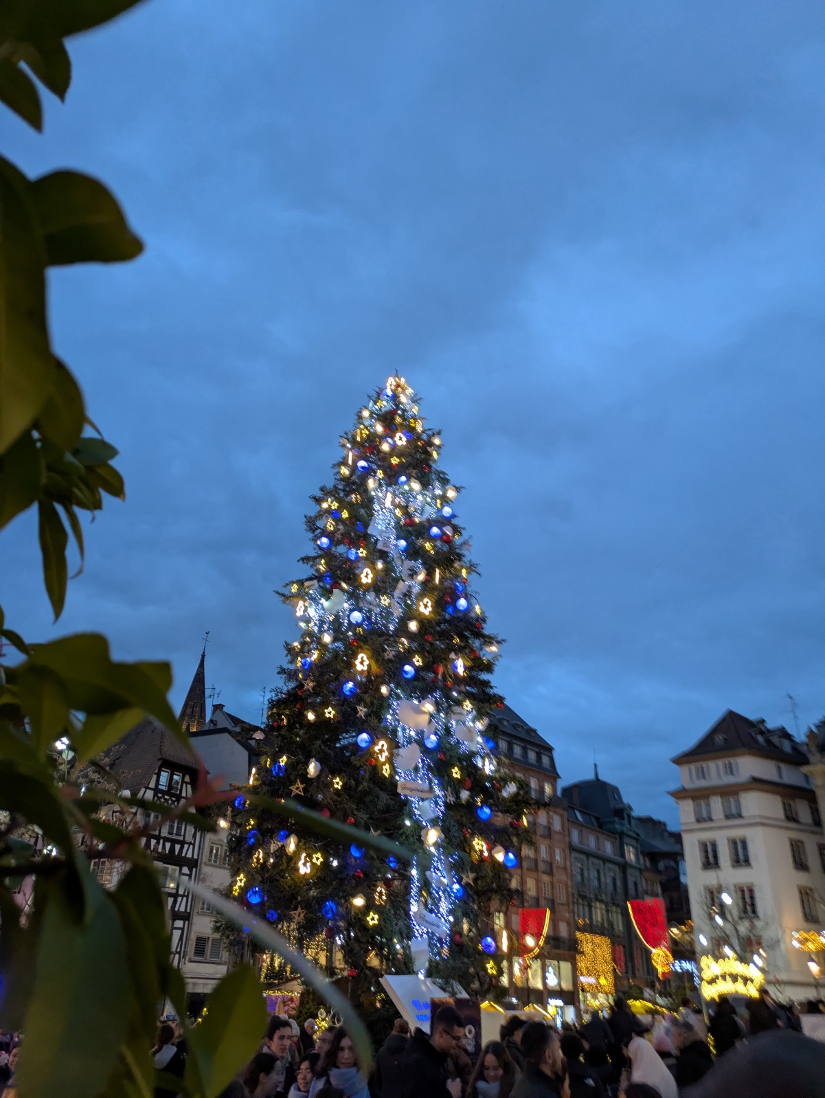 PXL 20241218 155142289