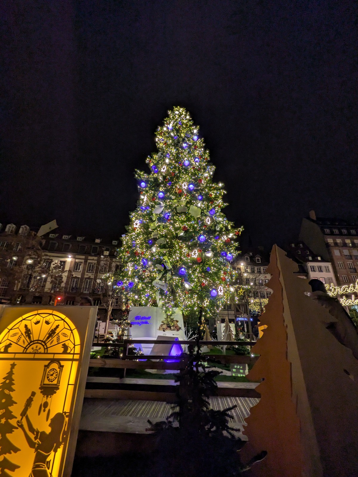 PXL 20241218 205943199