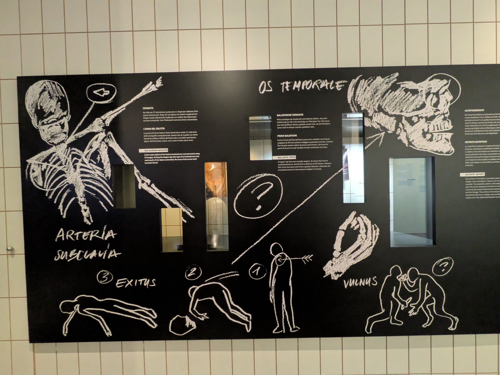 PXL 20250626 141817683