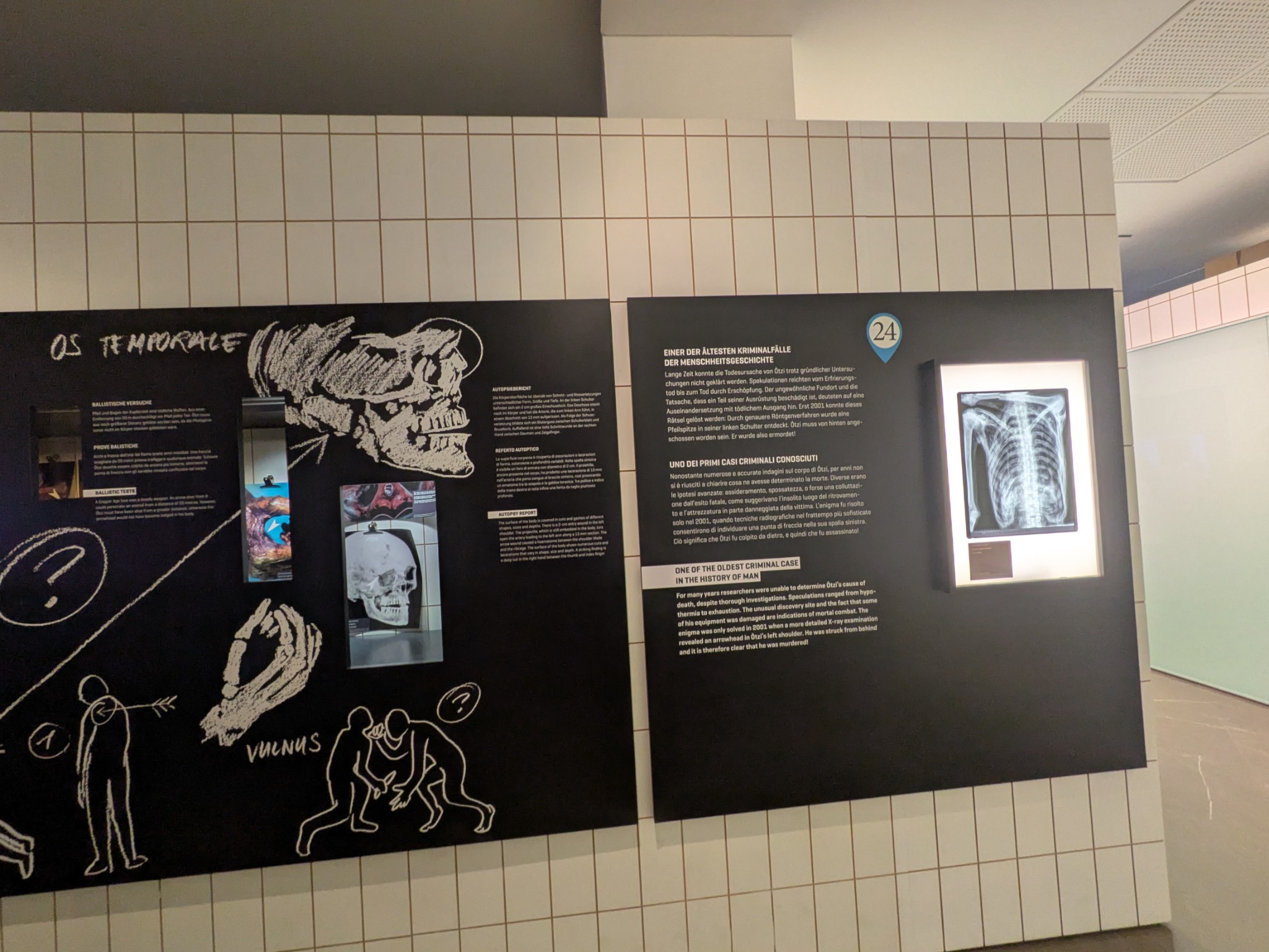 PXL 20250626 141839486