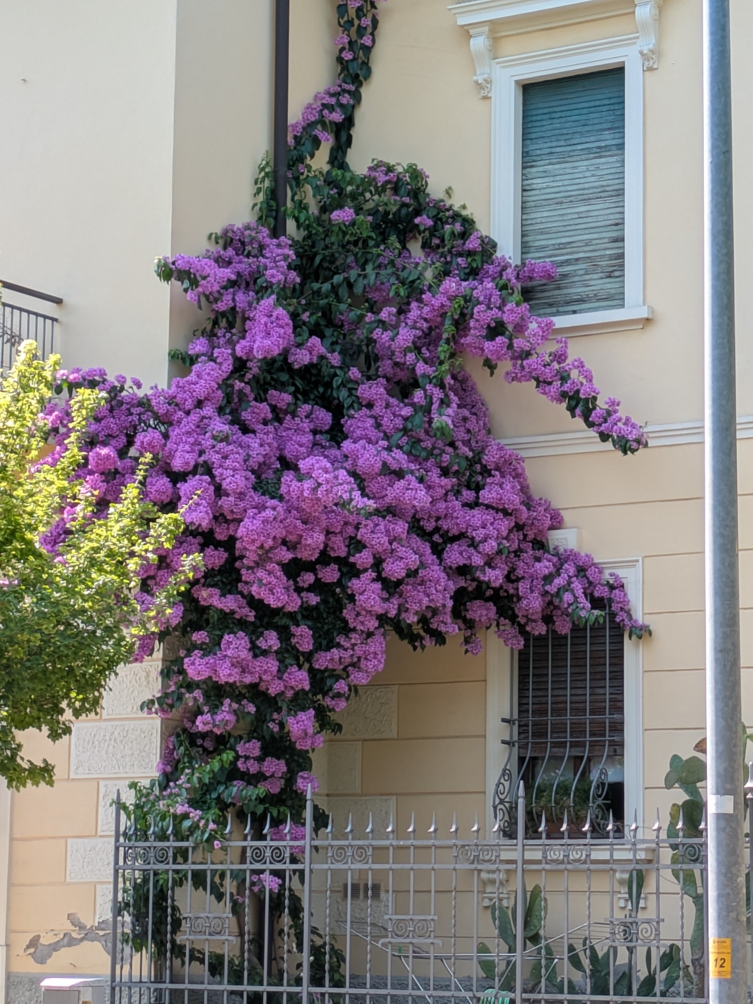 PXL 20250628 135805302