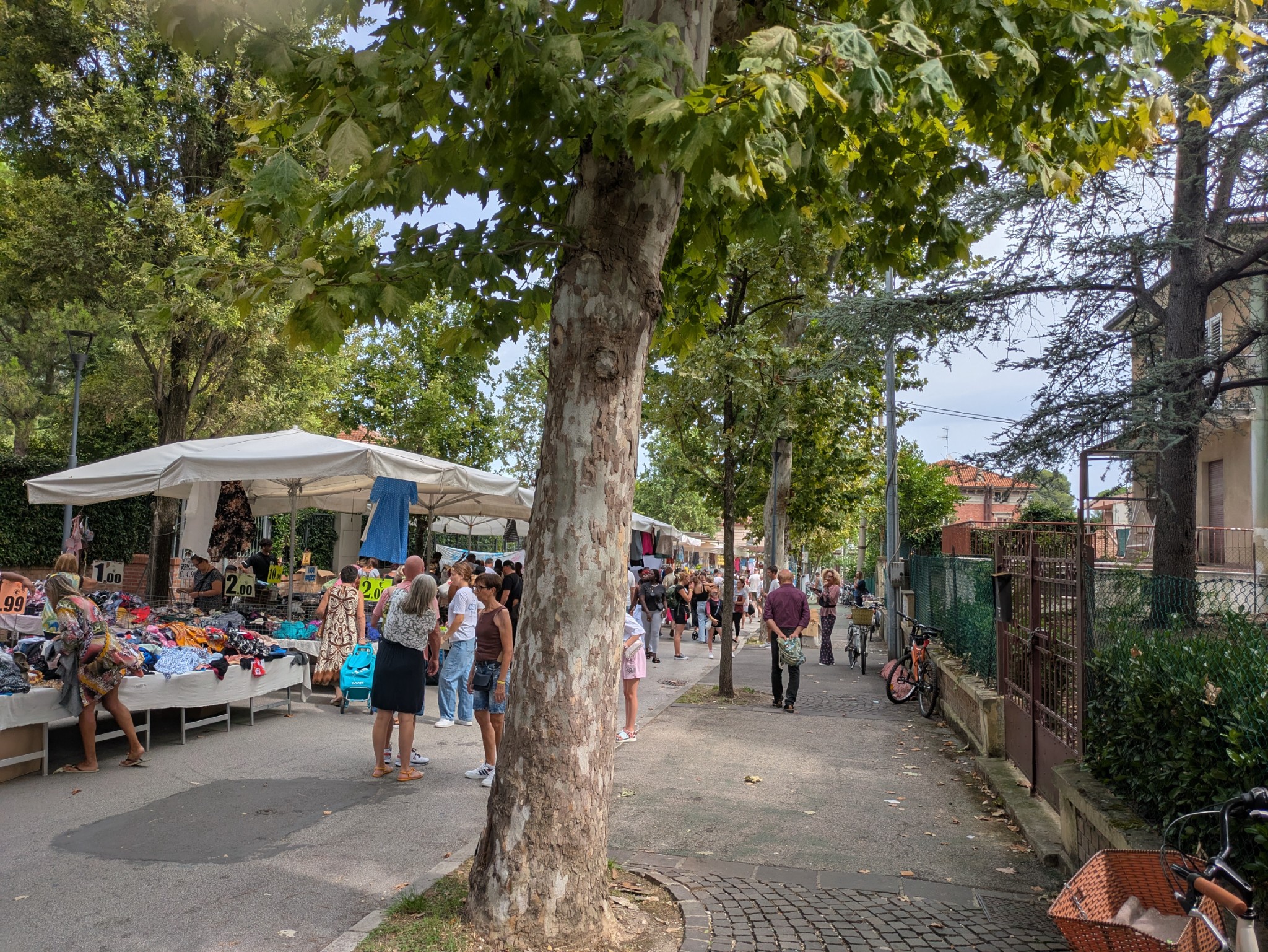 PXL 20250829 094852191