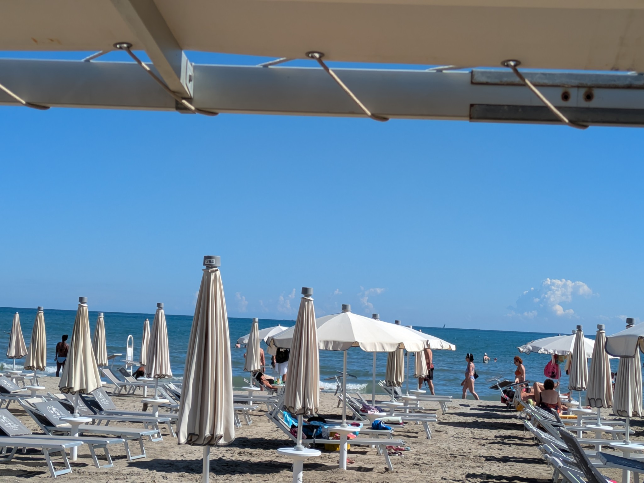 PXL 20250831 085317100