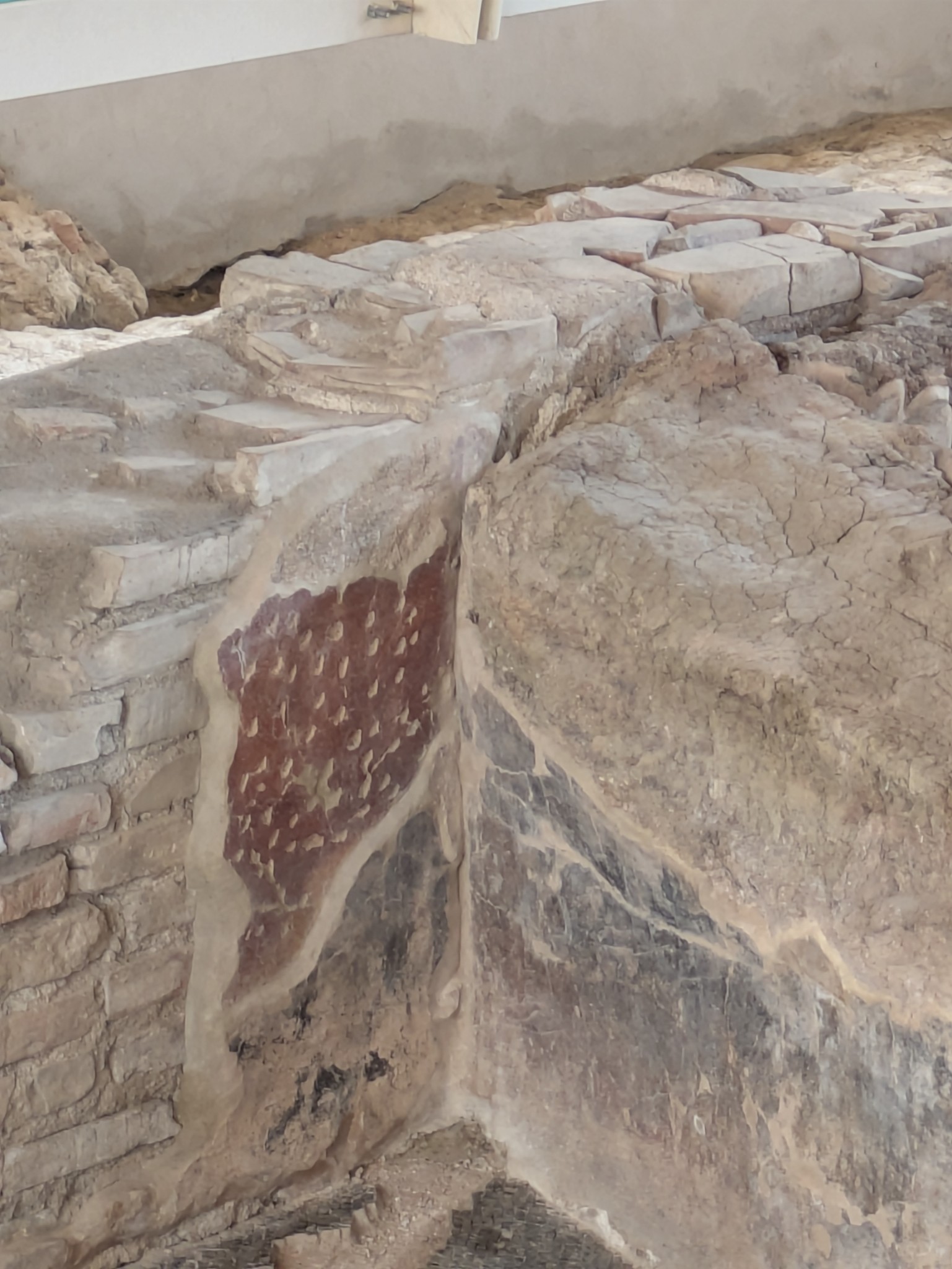 PXL 20250903 090958697