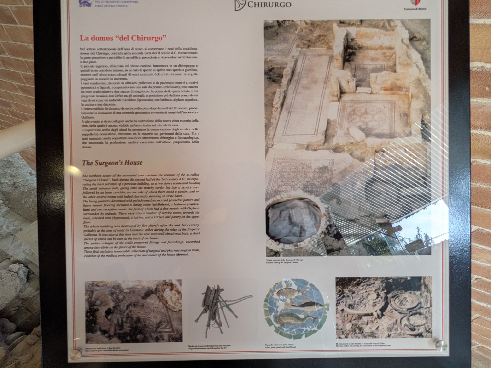 PXL 20250903 091622786