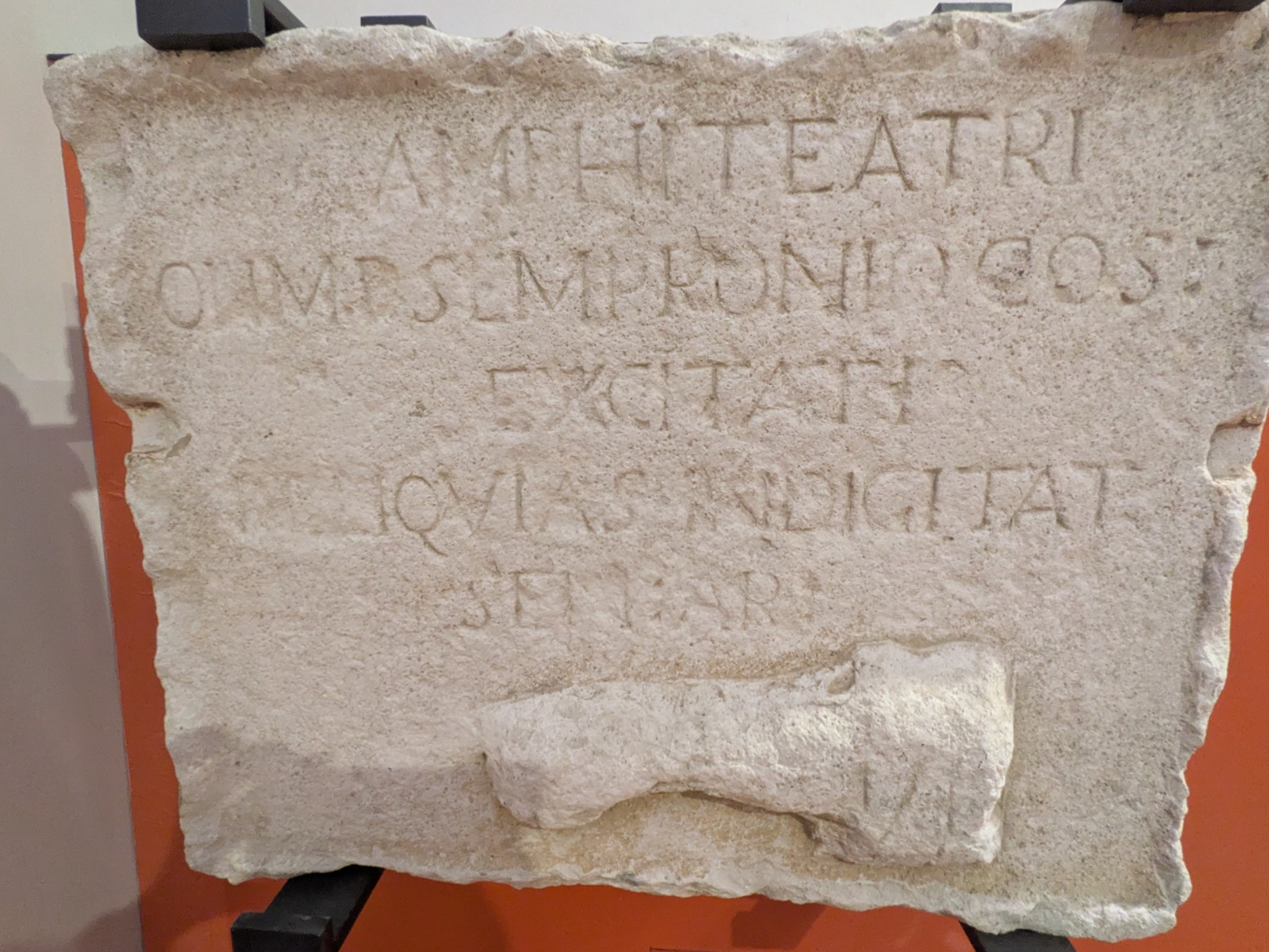 PXL 20250903 093851704